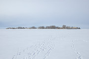 Форт «Тотлебен»